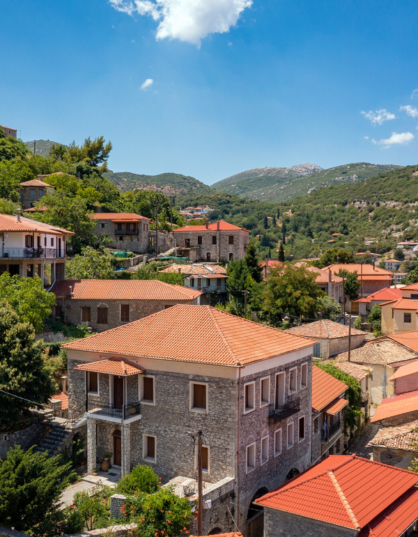 Ανδρίτσαινα