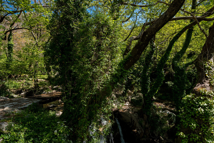 Old Watermill - Papazafeiri Watermill - Oreini 22