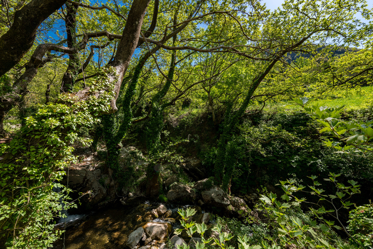 Old Watermill - Papazafeiri Watermill - Oreini 25