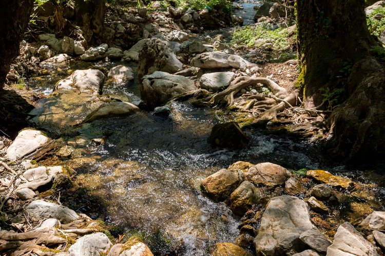 Old Watermill - Papazafeiri Watermill - Oreini 8