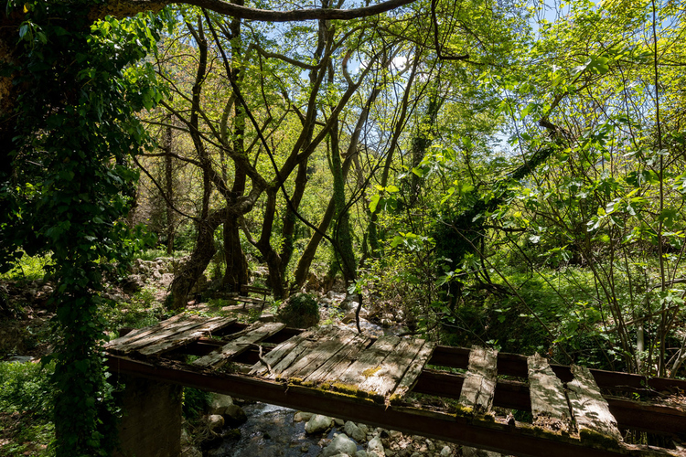 Old Watermill - Papazafeiri Watermill - Oreini 9