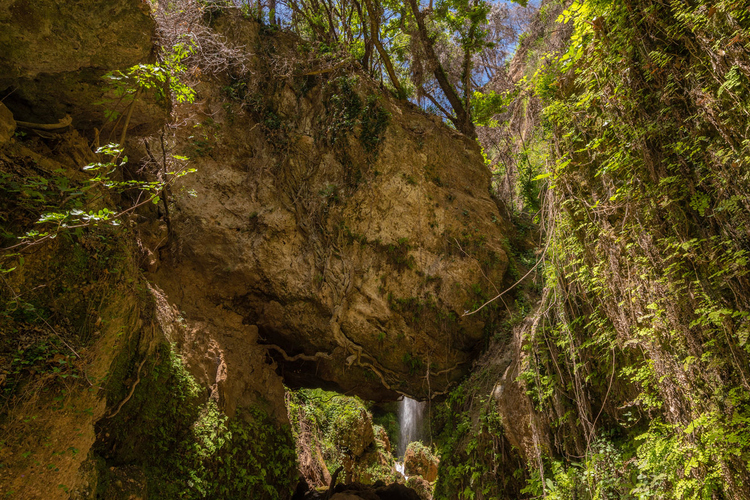 Nemouta Waterfalls 14