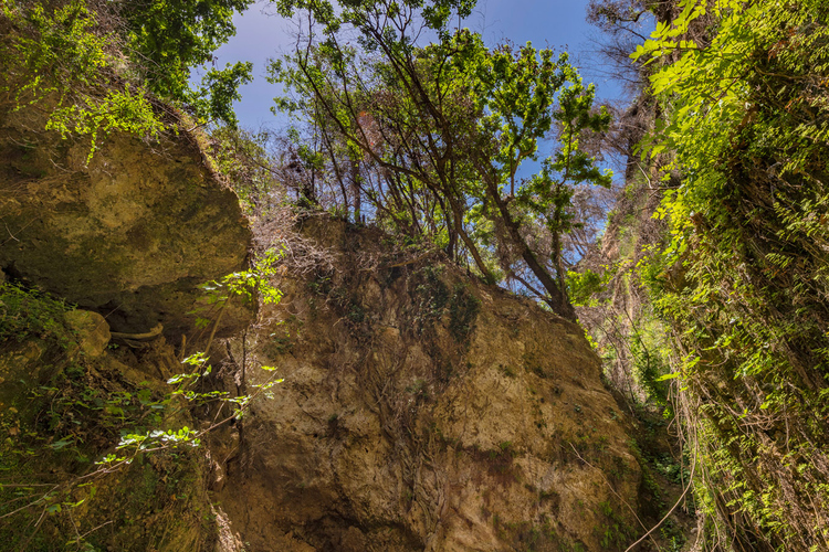 Nemouta Waterfalls 9