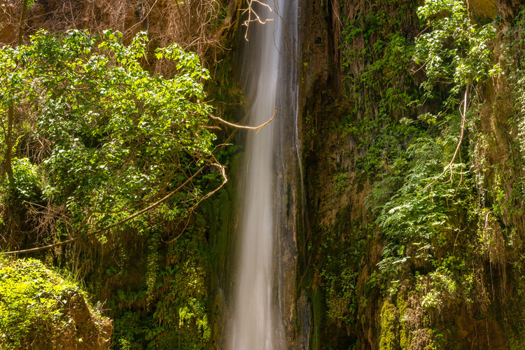 Nemouta Waterfalls 20