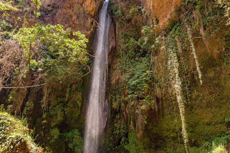 Nemouta Waterfalls 13