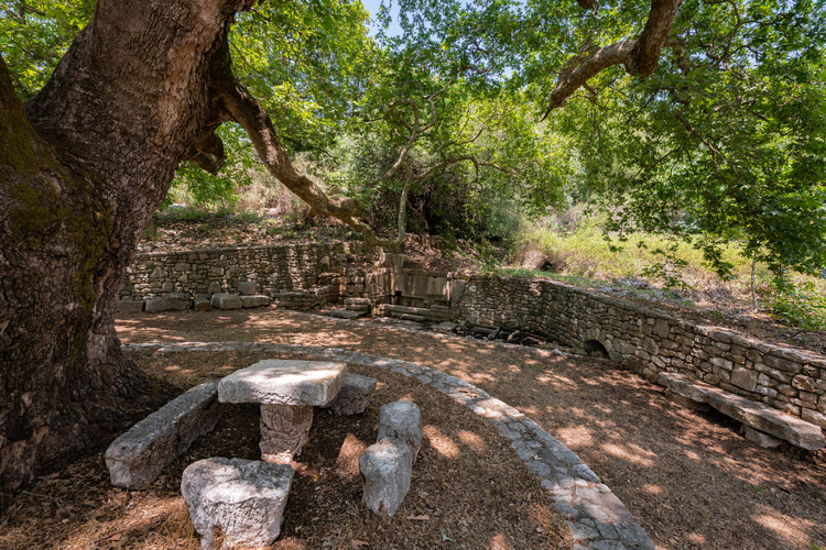 Archaeological Site of Phigalia 3