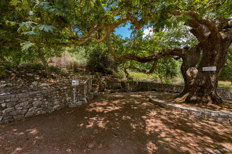 Archaeological Site of Phigalia 5