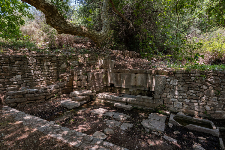 Archaeological Site of Phigalia 7