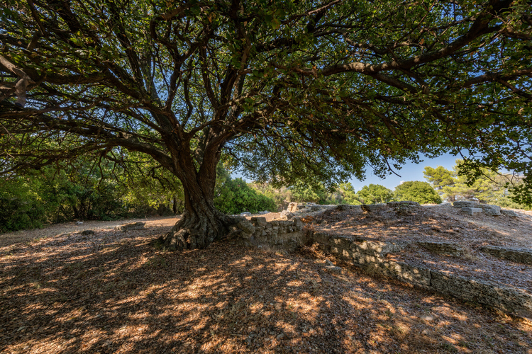 Ancient Temple of Athena 19