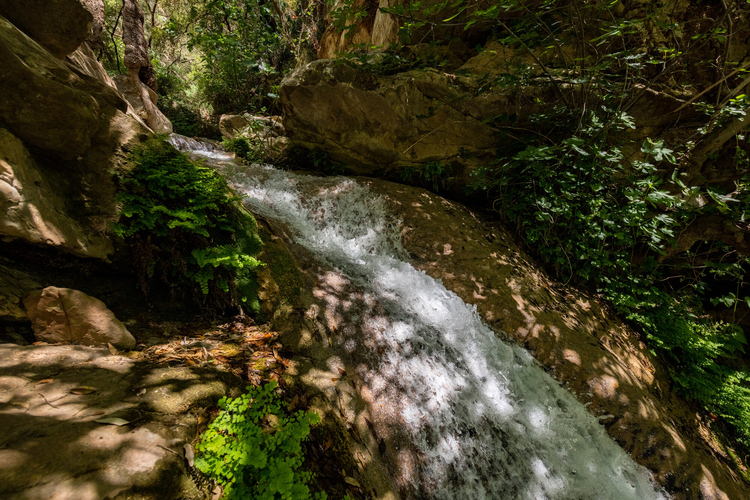 The Falls of Neda 16