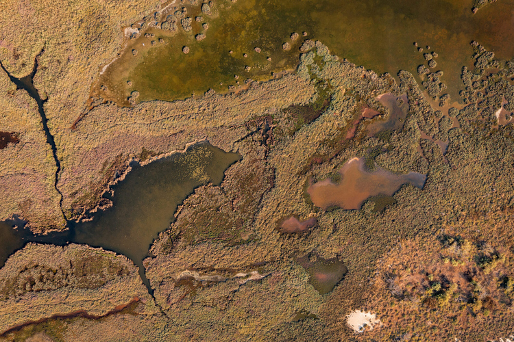 Kotychi – Strofylia 11