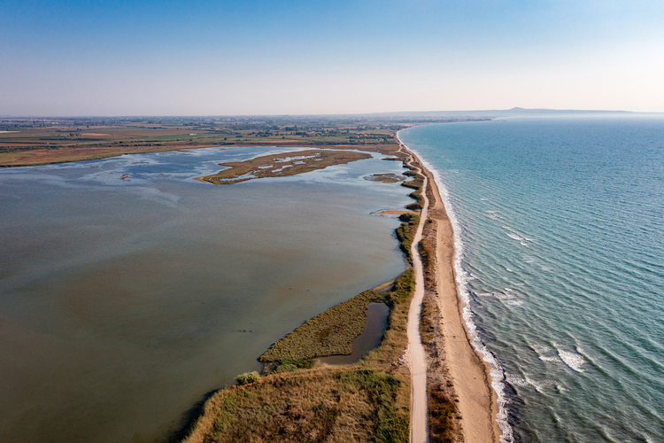 Κοτύχι-Στροφυλιά 2