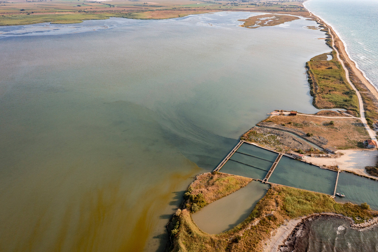 Kotychi – Strofylia 24