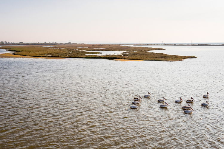 Kotychi – Strofylia 25