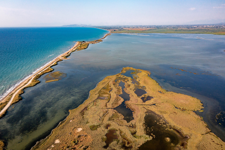 Κοτύχι-Στροφυλιά 5