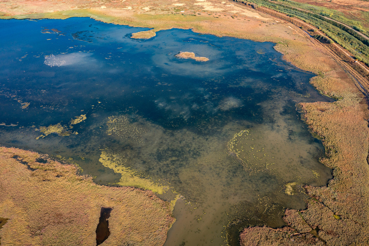 Κοτύχι-Στροφυλιά 6