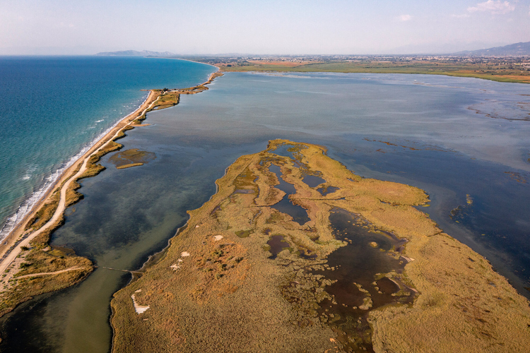 Κοτύχι-Στροφυλιά 7