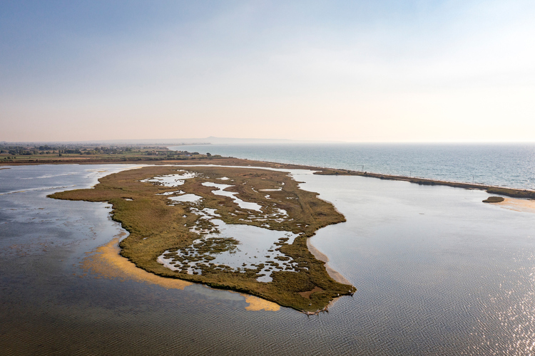 Κοτύχι-Στροφυλιά 9