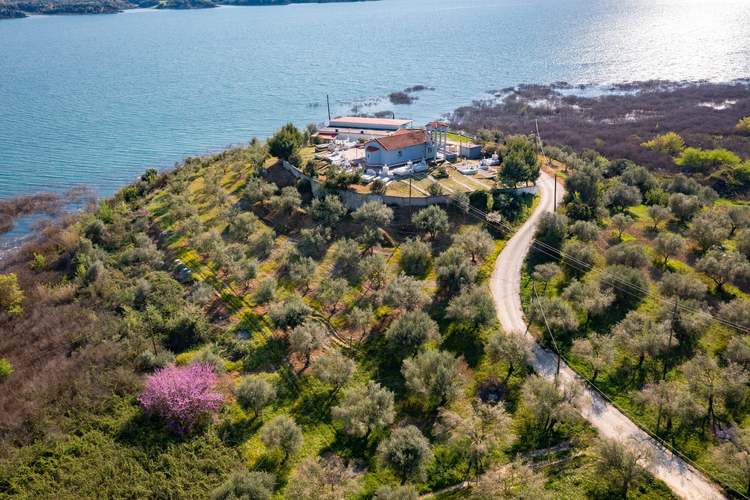 Artificial Lake of Pineios 10