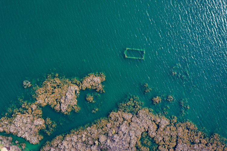 Artificial Lake of Pineios 12