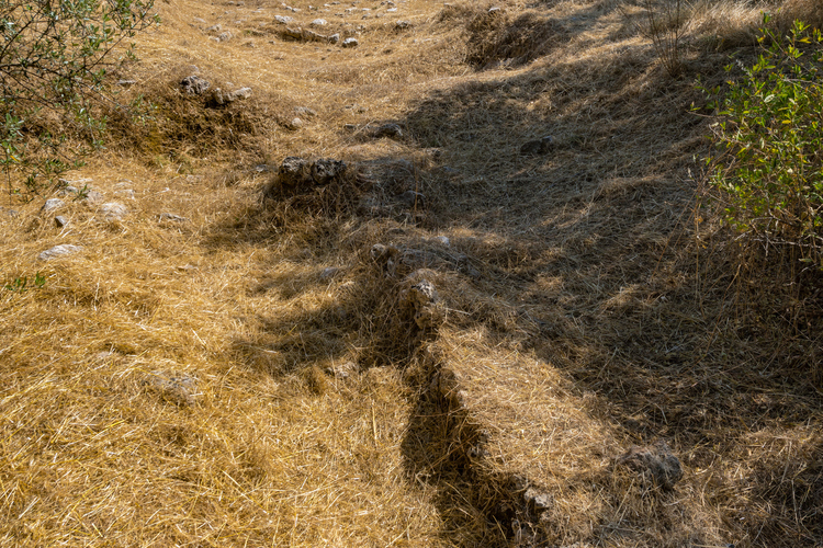 Temple of Demetrer 12