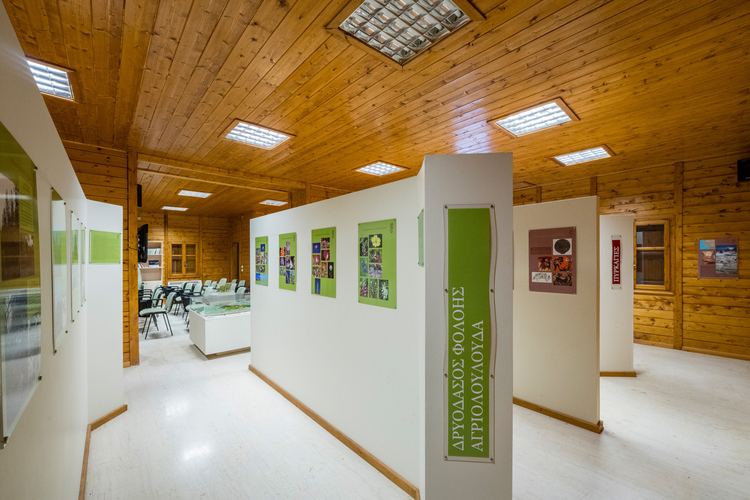  Environmental Museum - Foloi Oak Forest Informati...