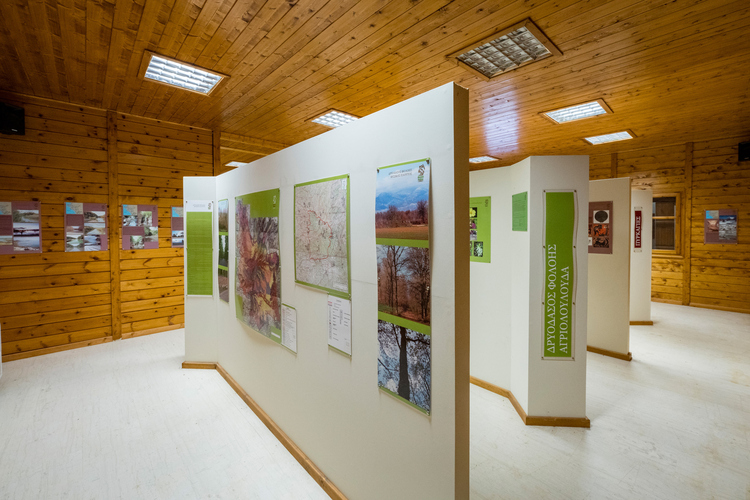  Environmental Museum - Foloi Oak Forest Informati...