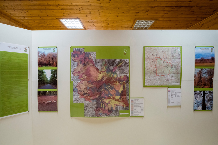  Environmental Museum - Foloi Oak Forest Informati...