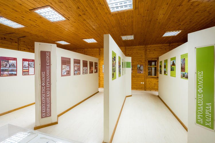  Environmental Museum - Foloi Oak Forest Informati...