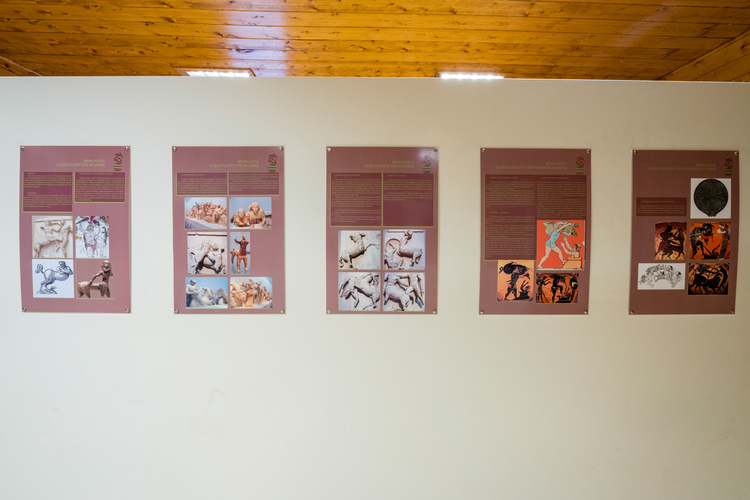  Environmental Museum - Foloi Oak Forest Informati...