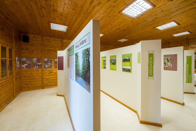  Environmental Museum - Foloi Oak Forest Informati...