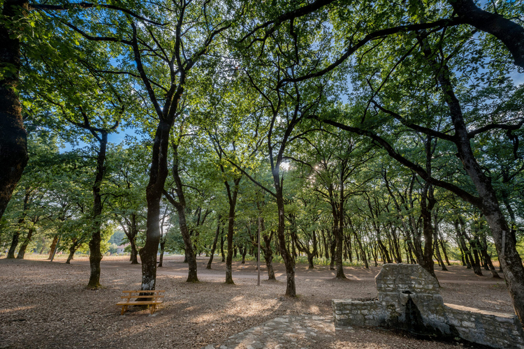  Environmental Museum - Foloi Oak Forest Informati...