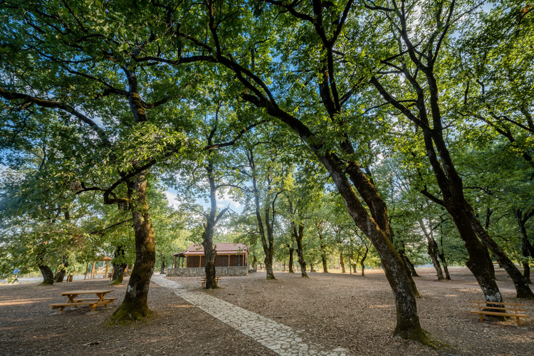  Environmental Museum - Foloi Oak Forest Informati...