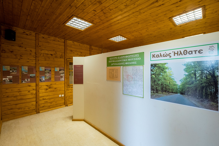 Περιβαλλοντικό Μουσείο Φολόης 8
