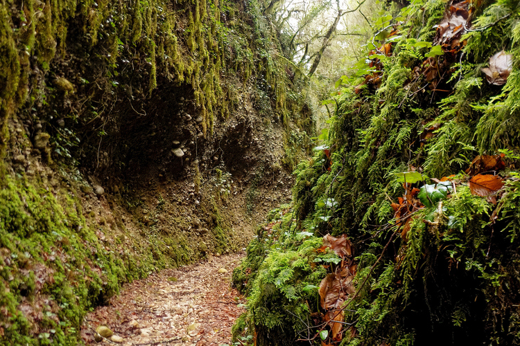 Canyon of Centaurs