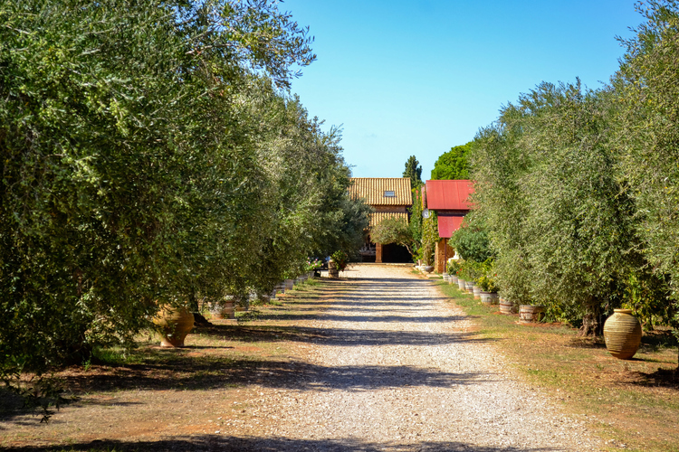 Merkouri Winery