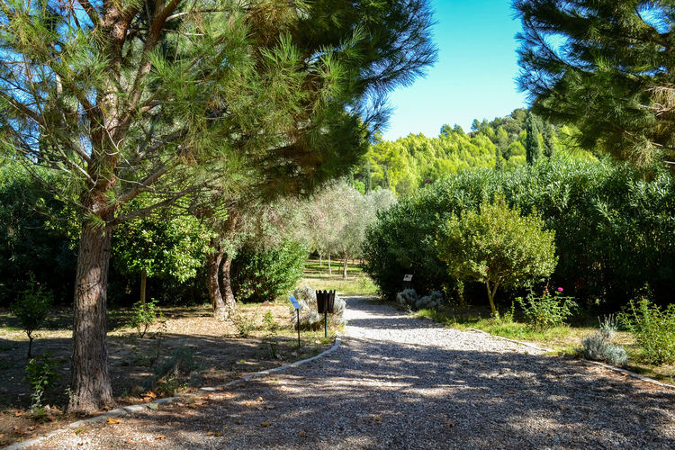 Ολυμπιακός Βοτανικός Κήπος