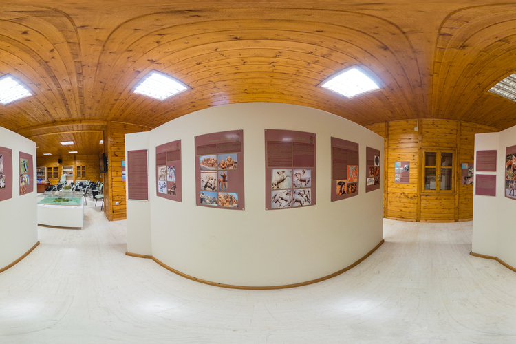  Environmental Museum - Foloi Oak Forest Informati...
