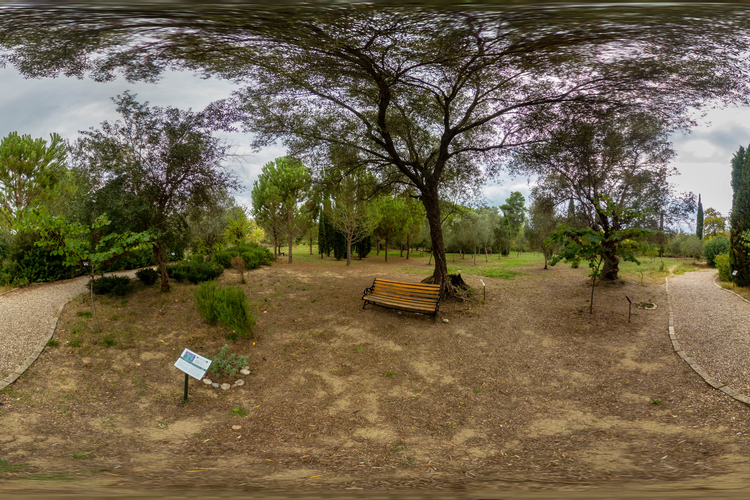 Olympic Botanical Garden 2