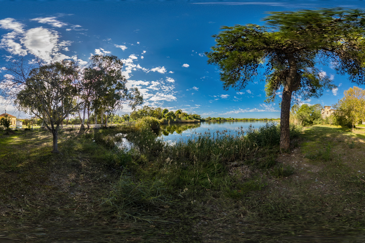 Kaiafa forest