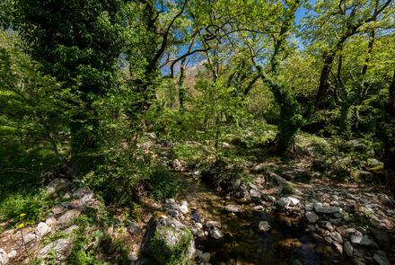 Old Watermill - Papazafeiri Watermill - Oreini 23