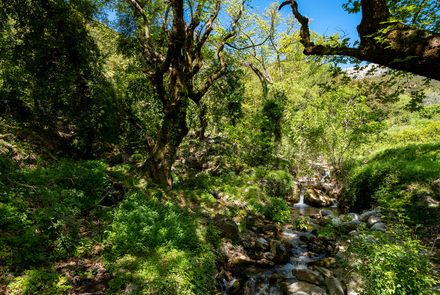 Old Watermill - Papazafeiri Watermill - Oreini 2
