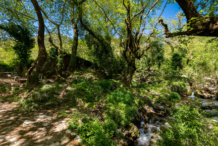 Old Watermill - Papazafeiri Watermill - Oreini 3