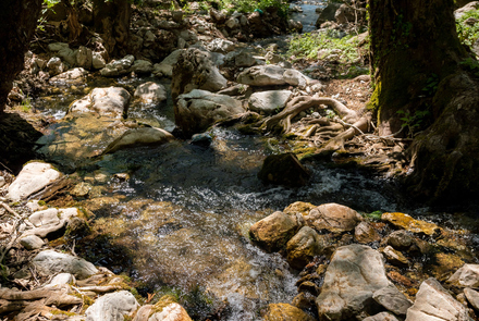 Old Watermill - Papazafeiri Watermill - Oreini 8