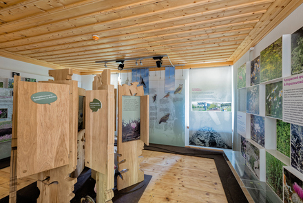 "Petralias Mansion" - Culture and Environment Cent...