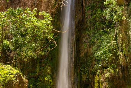 Nemouta Waterfalls 20