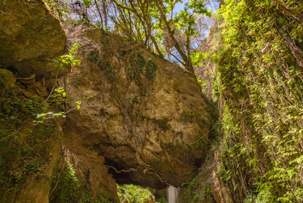 Nemouta Waterfalls 11