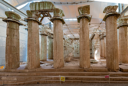 Archaeological Site of the Temple of Apollo Epicur...