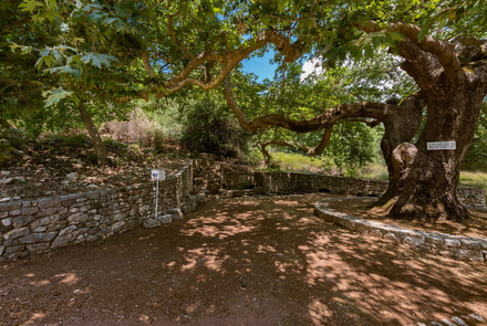 Archaeological Site of Phigalia 5