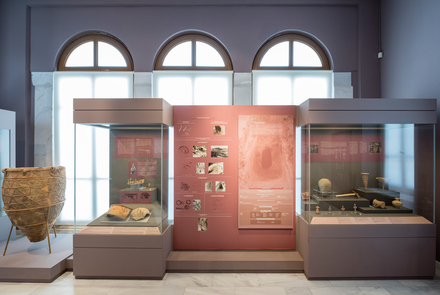 Archaeological Museum of Pyrgos 13